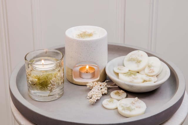 Elements - Air - Wild Mint & Bergamot - Botanical Soy Wax Melts - Image 3