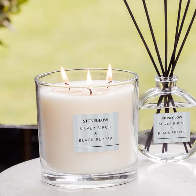 Modern Classics - Silver Birch & Black Pepper - 3-Wick Candle - Image 2
